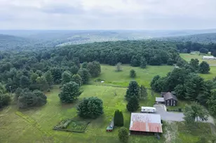 993 Pinchy Rd, Morrisdale, PA 16858 - Photo 2