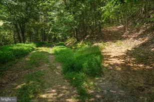 848 Sugar Camp Rd, Woodlyn, PA 16881 - Photo 44