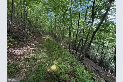 848 Sugar Camp Road, Woodlyn, PA 16881 - Photo 114