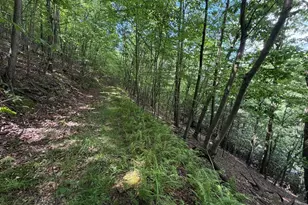 848 Sugar Camp Rd, Woodlyn, PA 16881 - Photo 114
