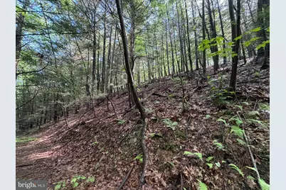 848 Sugar Camp Road, Woodlyn, PA 16881 - Photo 92