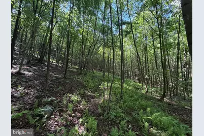 848 Sugar Camp Road, Woodlyn, PA 16881 - Photo 98