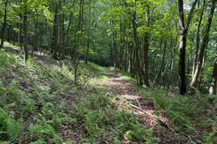 848 Sugar Camp Rd, Woodlyn, PA 16881 - Photo 116