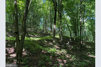 848 Sugar Camp Road, Woodlyn, PA 16881 - Photo 104