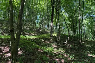 848 Sugar Camp Rd, Woodlyn, PA 16881 - Photo 104