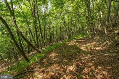 848 Sugar Camp Road, Woodlyn, PA 16881 - Photo 42