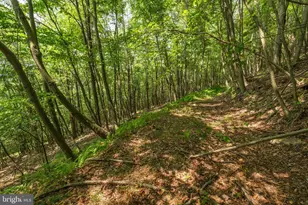 848 Sugar Camp Rd, Woodlyn, PA 16881 - Photo 42