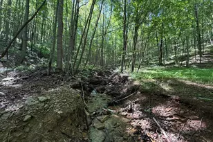 848 Sugar Camp Rd, Woodlyn, PA 16881 - Photo 102