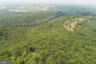 848 Sugar Camp Rd, Woodlyn, PA 16881 - Photo 38