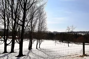 1800 Ross Rd, Schwenksville, PA 16833 - Photo 12