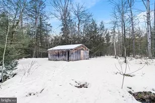 6148 Shiloh Rd, Woodlyn, PA 16881 - Photo 28