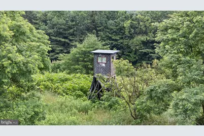 166.68 Acres Mahaffey Grampian Highway, Mahaffey, PA 15757 - Photo 30