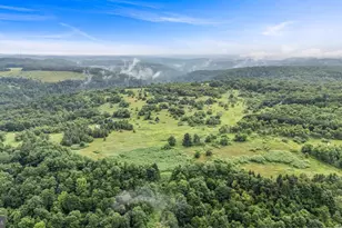 166 68 Acres Mahaffey Grampian Hwy, Mahaffey, PA 15757 - Photo 36