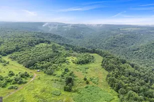 166 68 Acres Mahaffey Grampian Hwy, Mahaffey, PA 15757 - Photo 38