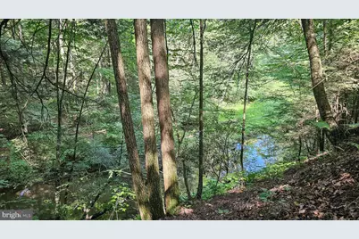 166.68 Acres Mahaffey Grampian Highway, Mahaffey, PA 15757 - Photo 16