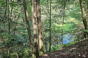 166 68 Acres Mahaffey Grampian Hwy, Mahaffey, PA 15757 - Photo 16