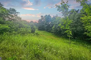 166 68 Acres Mahaffey Grampian Hwy, Mahaffey, PA 15757 - Photo 56