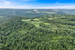 161 22 Acres Mahaffey Grampian Hwy, Mahaffey, PA 15757 - Photo 20