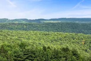 161 22 Acres Mahaffey Grampian Hwy, Mahaffey, PA 15757 - Photo 42