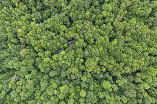 161 22 Acres Mahaffey Grampian Hwy, Mahaffey, PA 15757 - Photo 14