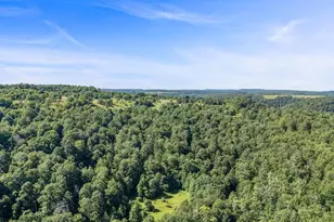 161 22 Acres Mahaffey Grampian Hwy, Mahaffey, PA 15757 - Photo 18