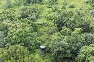 161 22 Acres Mahaffey Grampian Hwy, Mahaffey, PA 15757 - Photo 8