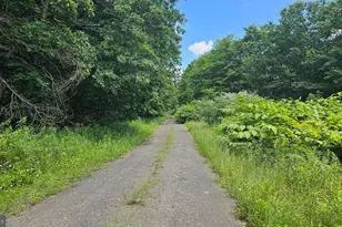 161 22 Acres Mahaffey Grampian Hwy, Mahaffey, PA 15757 - Photo 12