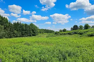 161 22 Acres Mahaffey Grampian Hwy, Mahaffey, PA 15757 - Photo 6