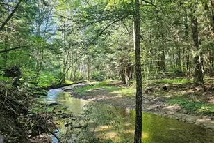 161 22 Acres Mahaffey Grampian Hwy, Mahaffey, PA 15757 - Photo 2