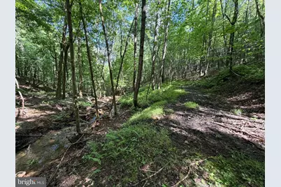 848 Sugar Camp Road, Woodlyn, PA 16881 - Photo 100