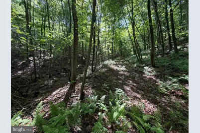 848 Sugar Camp Road, Woodlyn, PA 16881 - Photo 104