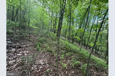 848 Sugar Camp Road, Woodlyn, PA 16881 - Photo 114
