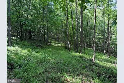 848 Sugar Camp Road, Woodlyn, PA 16881 - Photo 98