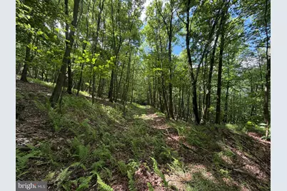 848 Sugar Camp Road, Woodlyn, PA 16881 - Photo 116