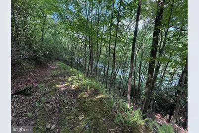 848 Sugar Camp Road, Woodlyn, PA 16881 - Photo 112