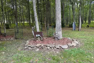 [Address not provided], Frenchville, PA 16836 - Photo 32