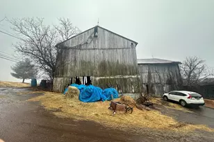 165 Schoolhouse Rd, Bloomsburg, PA 17815 - Photo 6