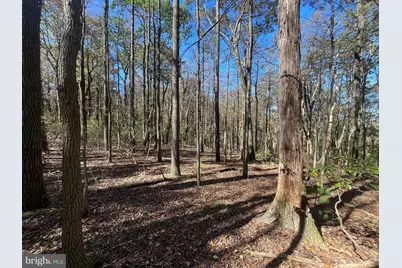 74 & 75 Elm Dr., Catawissa, PA 17820 - Photo 10