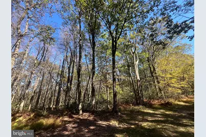 74 & 75 Elm Dr., Catawissa, PA 17820 - Photo 4