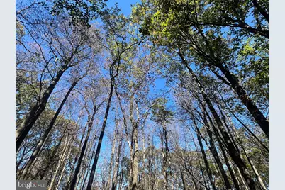 74 & 75 Elm Dr., Catawissa, PA 17820 - Photo 2