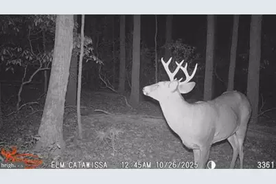 74 & 75 Elm Dr., Catawissa, PA 17820 - Photo 36