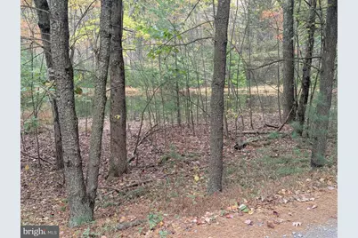 7 Community Pond Drive, Catawissa, PA 17820 - Photo 14