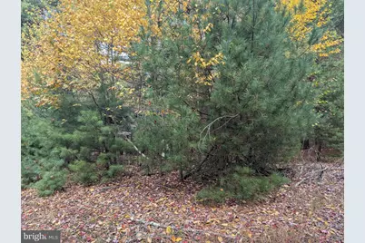 7 Community Pond Drive, Catawissa, PA 17820 - Photo 46