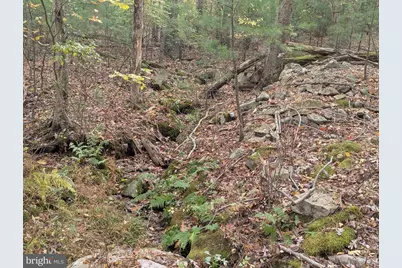 7 Community Pond Drive, Catawissa, PA 17820 - Photo 50