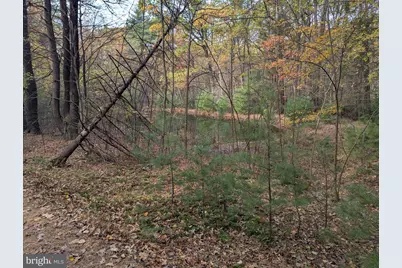 7 Community Pond Drive, Catawissa, PA 17820 - Photo 6