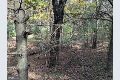 7 Community Pond Drive, Catawissa, PA 17820 - Photo 18