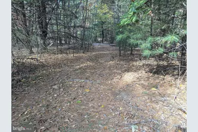 7 Community Pond Drive, Catawissa, PA 17820 - Photo 20