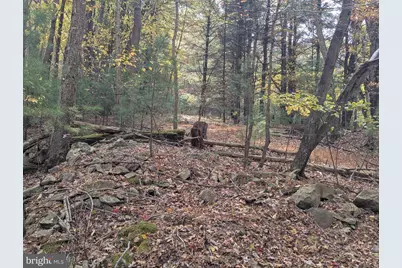 7 Community Pond Drive, Catawissa, PA 17820 - Photo 52