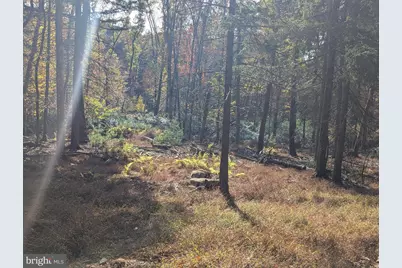 7 Community Pond Drive, Catawissa, PA 17820 - Photo 34