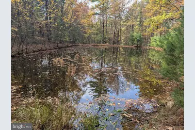 7 Community Pond Drive, Catawissa, PA 17820 - Photo 12